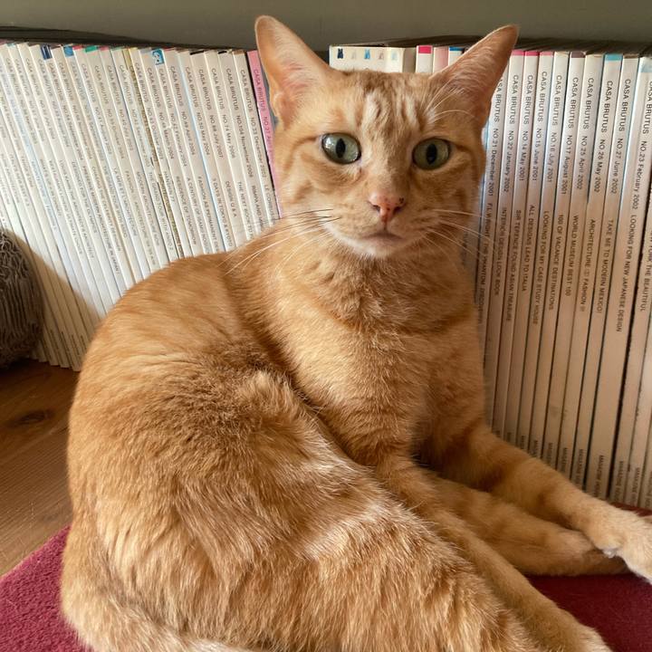 4b754234 821d 47ce b0d8 d3d23d8ecb69 1664666022014