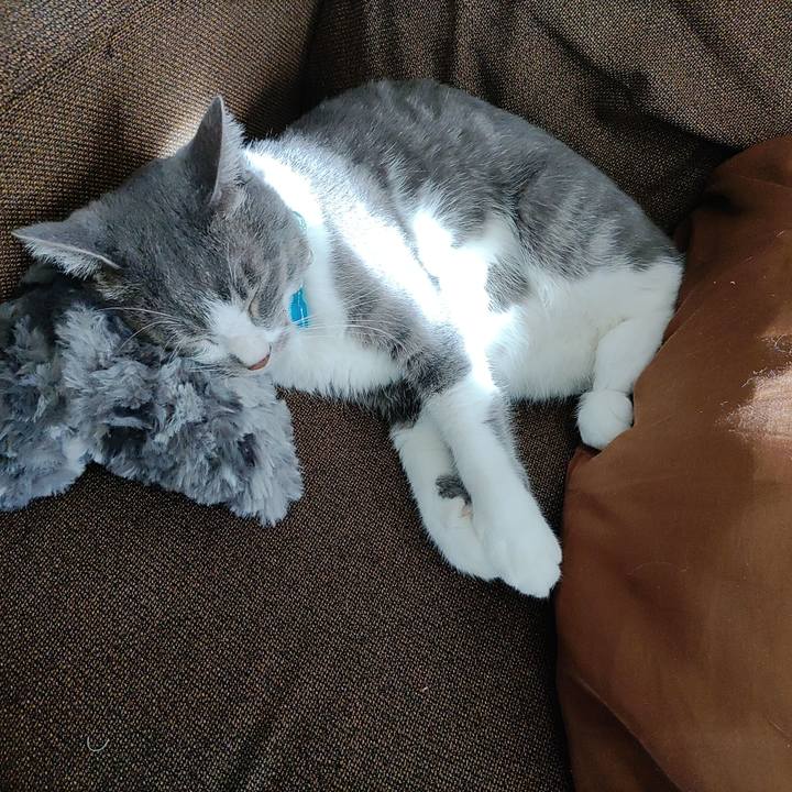 4b754a99 2a80 4d9f b28a e1e3ddb878c7 1667879349608