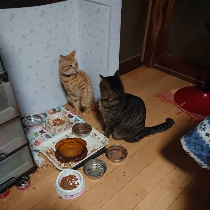 4b756800 8dc6 4e0d 8c06 c9c5b647c754 1644701561452