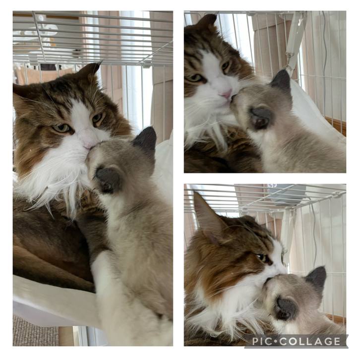 4b75694c 90ba 42fd b885 e3ef8fa48d4a 1687646194703