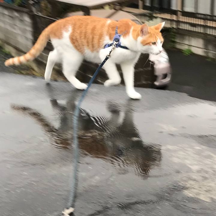 4b75997b 5114 4ed9 a516 2149f6659380 1508483367758