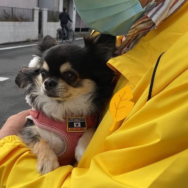 4b75cf16 f75f 428f 9f28 19223d3adcc5 1634600165243