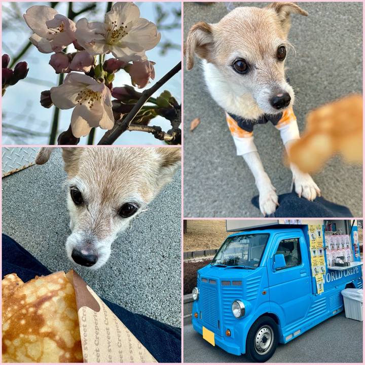 4b75eb6d fbb3 445b 916b 5b4068f7f29b 1742728210684