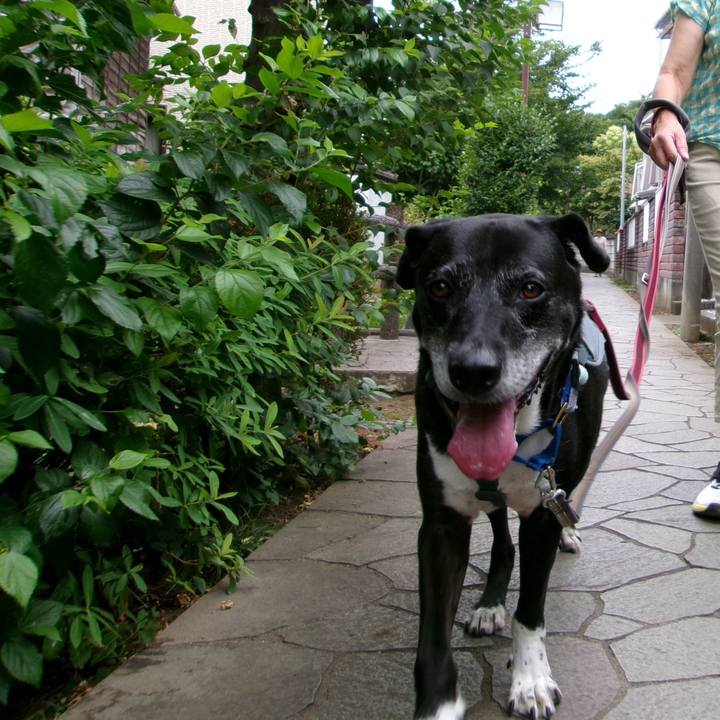 4b75f45e b8f2 4ead 8d5a c541c5580978 1754007649174