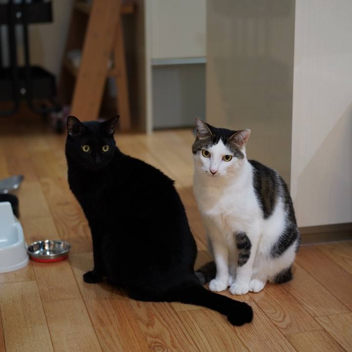 4b7617a3 06b7 45bf 9b33 53a68f6a13d8 1573867033434