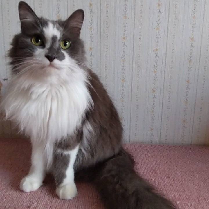 4b768e30 6e42 47c9 9c65 b8e1b1f6f68f 1689592167784