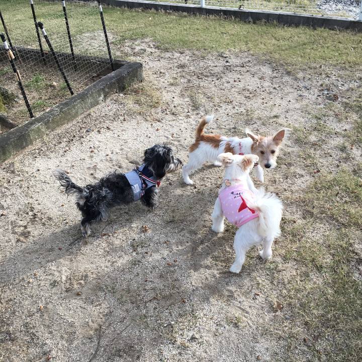 4b76907b 15fe 463c 80b9 f037cb042b54 1509696319052