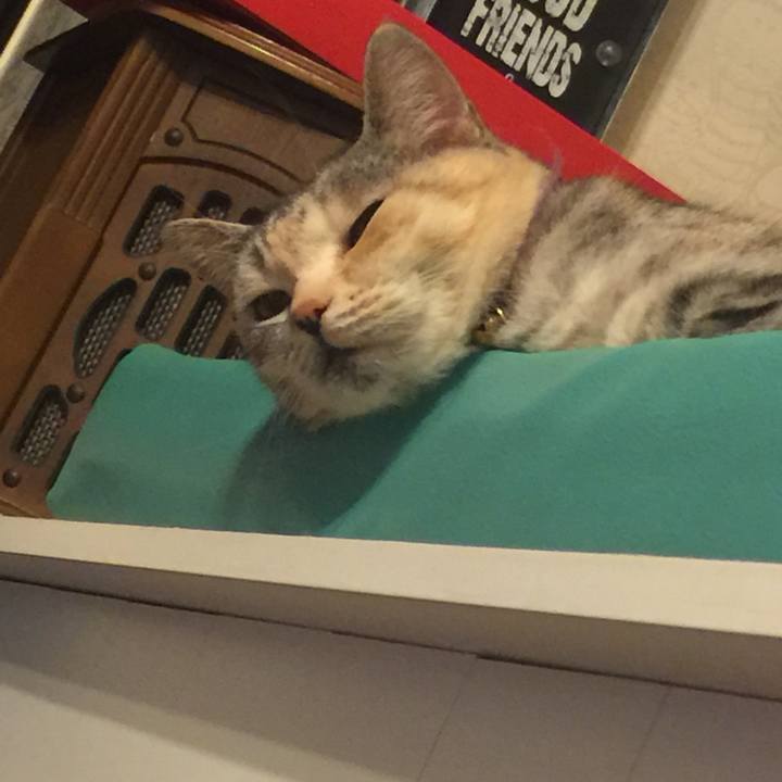 4b76b58f b220 4713 8527 7383ebb4d9fc 1559826631594