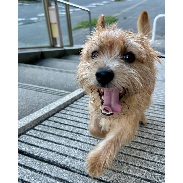 4b76eb74 c4ad 4eab 9b70 61d4b9f266df 1721694907739