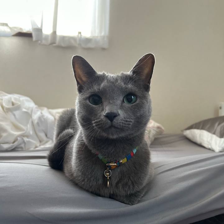 4b77302d 0765 46a3 977e a1609ad1f1da 1698096249056