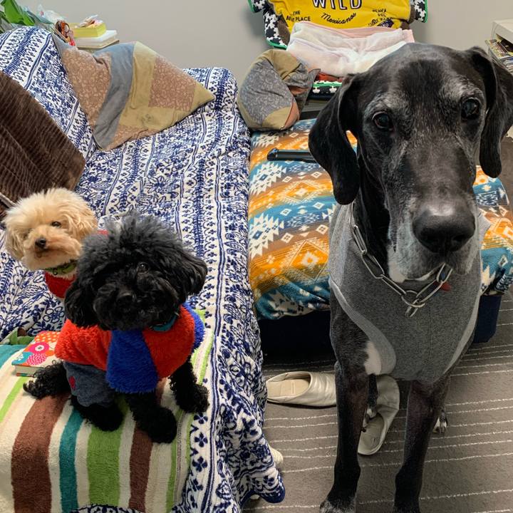 4b7750bd 21f4 4305 99c9 53ceee360598 1581460967043