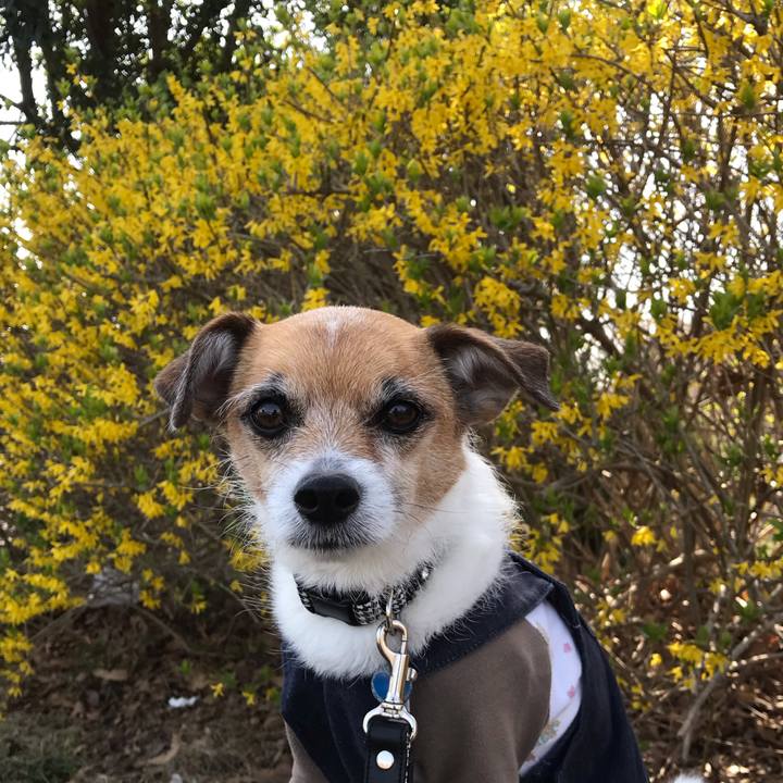 4b77613d e8e5 4433 800c a1060ba18fa0 1553498745452