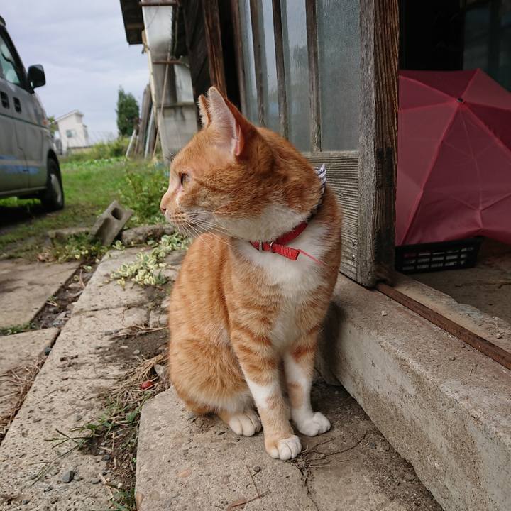 4b7764f3 8e50 4a3d a4f3 6b7ea01a6ca5 1571025802838