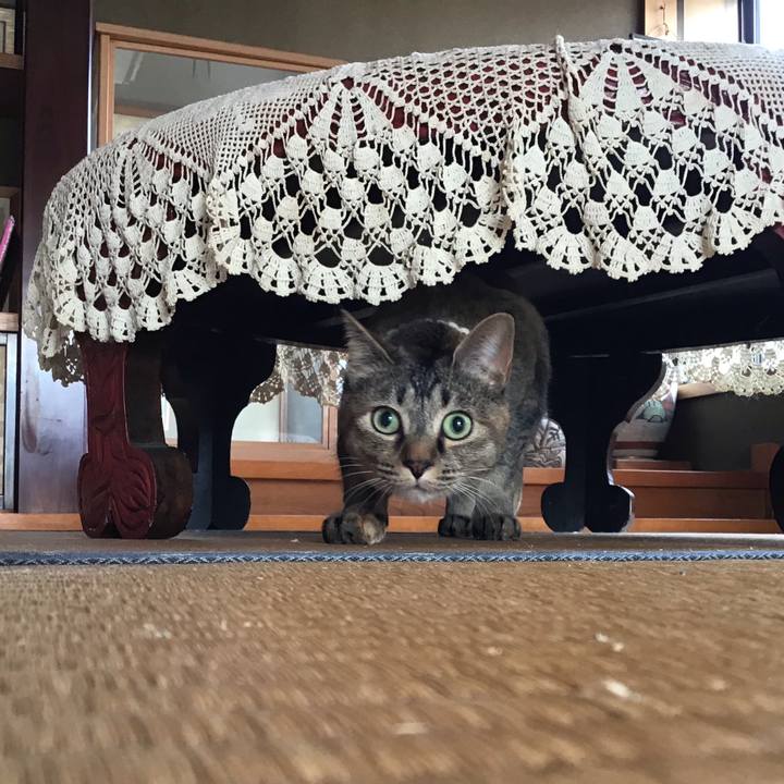 4b7774fd 8b5e 489e 8427 c1a77e3d7de8 1615963697559