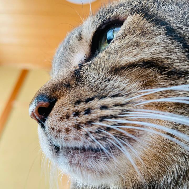 4b778cfa 5de6 4415 a33b e4c330023af1 1604711911113