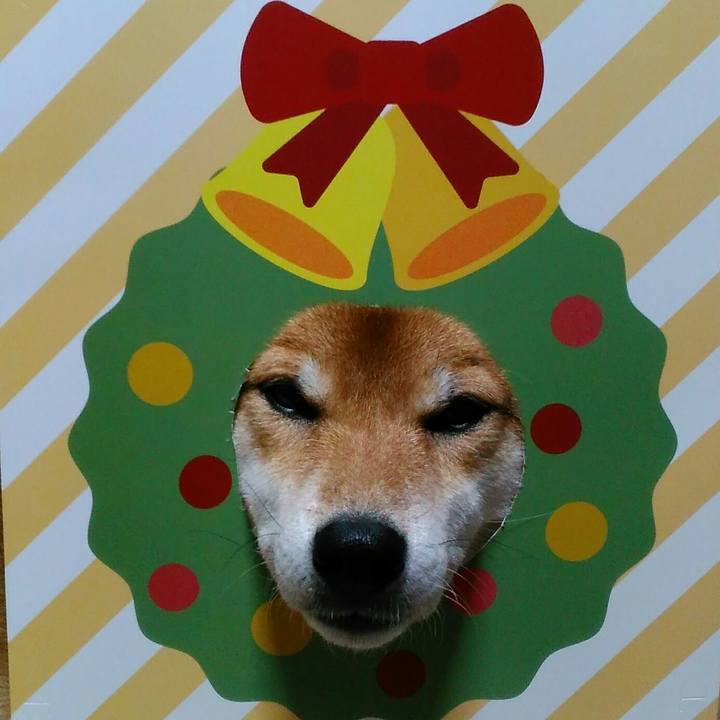 4b77ff9f 1c66 4908 89d5 066273348dce 1543669052334