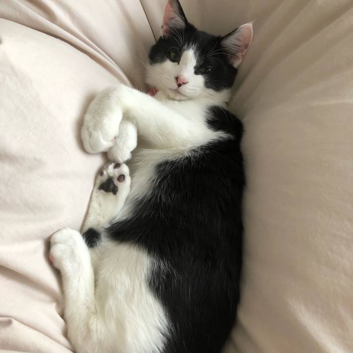 4b78008a 3590 4a49 b183 d6b8c9560e7b 1616543707890