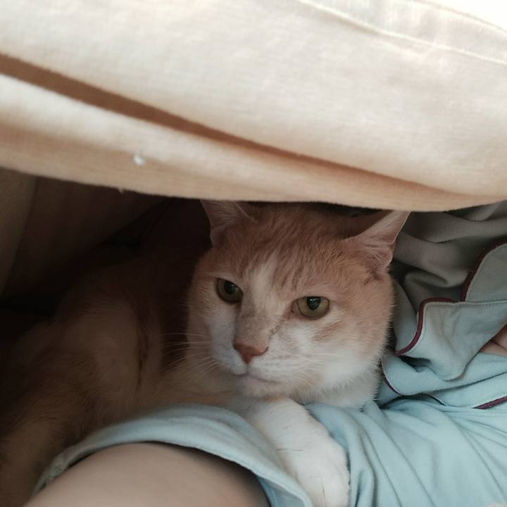 4b7835c8 f882 4267 9cea cea9994080f9 1646433109374