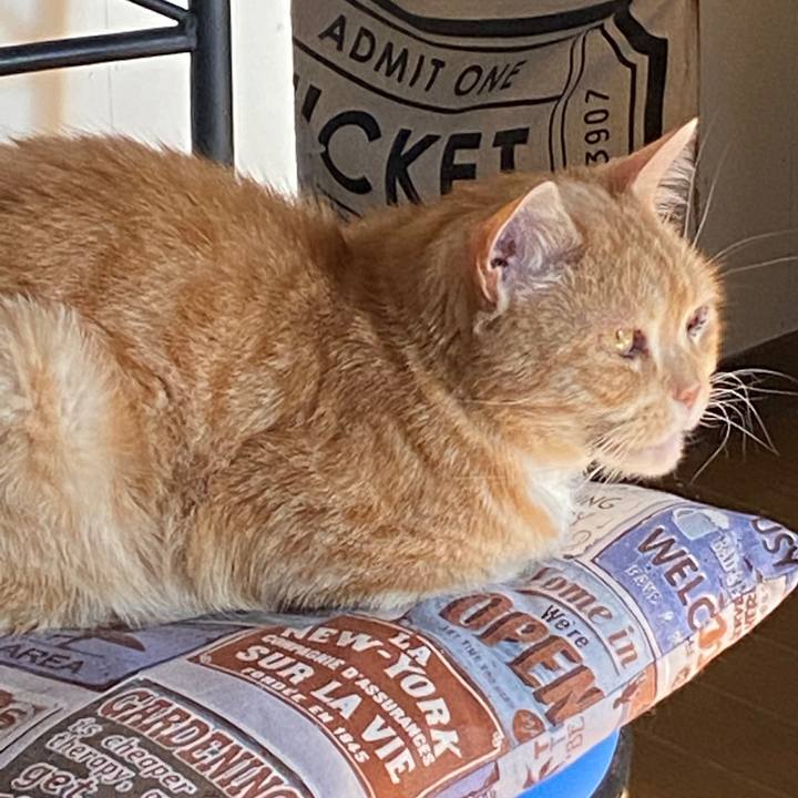 4b786f1a c30f 45f7 b3b9 5b795ed65956 1578624286006