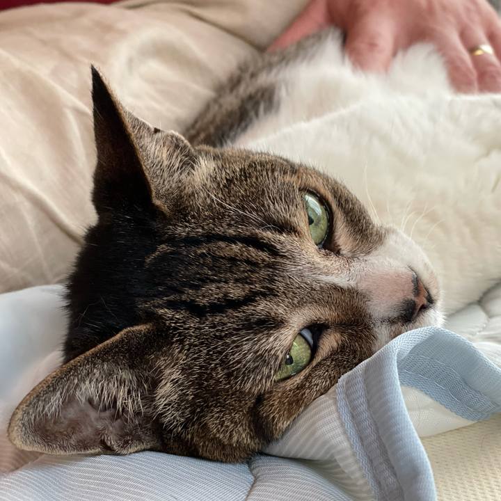 4b78805b a270 4151 ab99 75bb3dadaf91 1657851479009