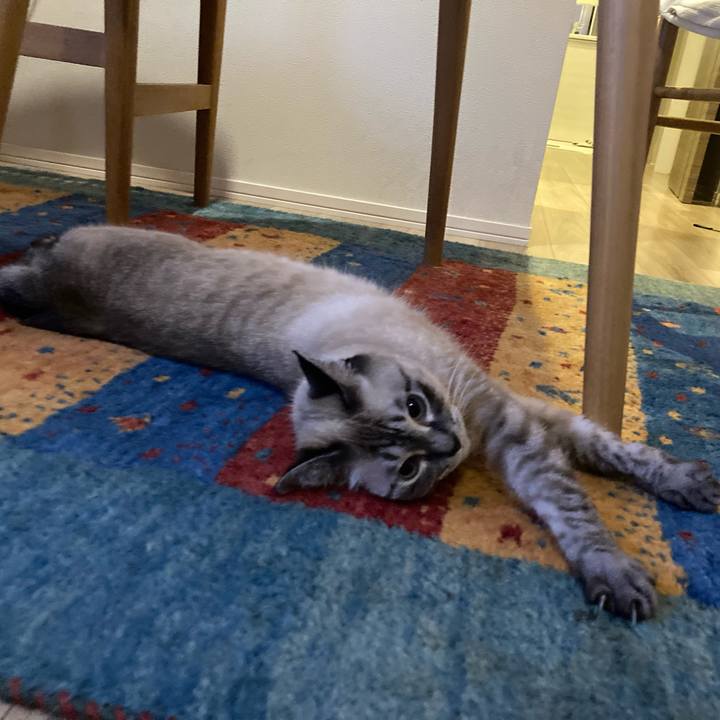 4b78c47d 0947 4e69 9002 ea85b6b6bbc1 1757658155636