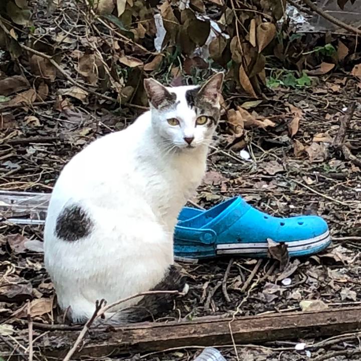 4b78cb18 1caa 4060 803a f9e57b8e188d 1522830963953