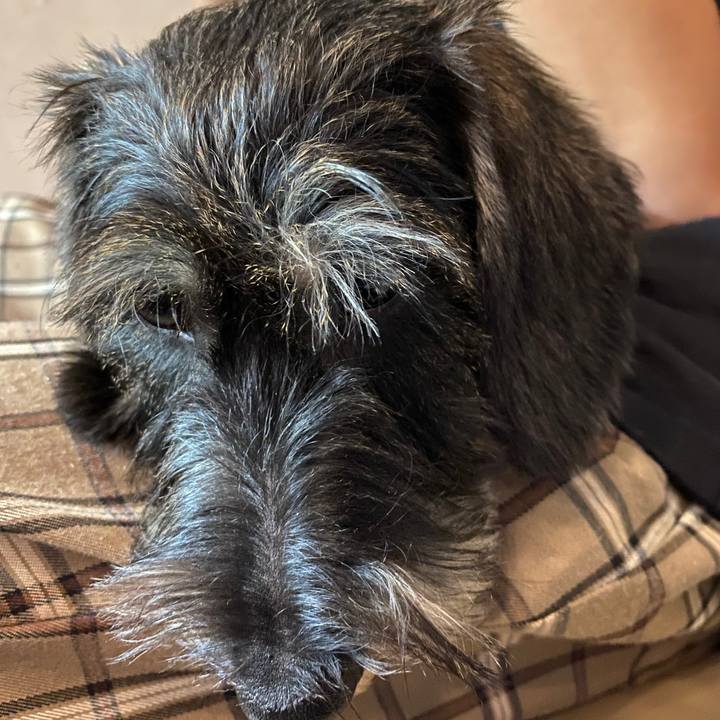 4b78db30 3763 450f a23c f5d5cdabb222 1589797218970