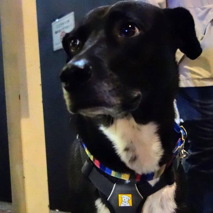 4b7903c5 2a1e 4e5f ad5e 13747efc423a 1638529951131