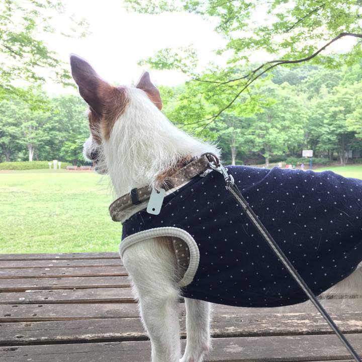 4b793f58 0ed1 410d ac05 714d5b952c63 1559368885782