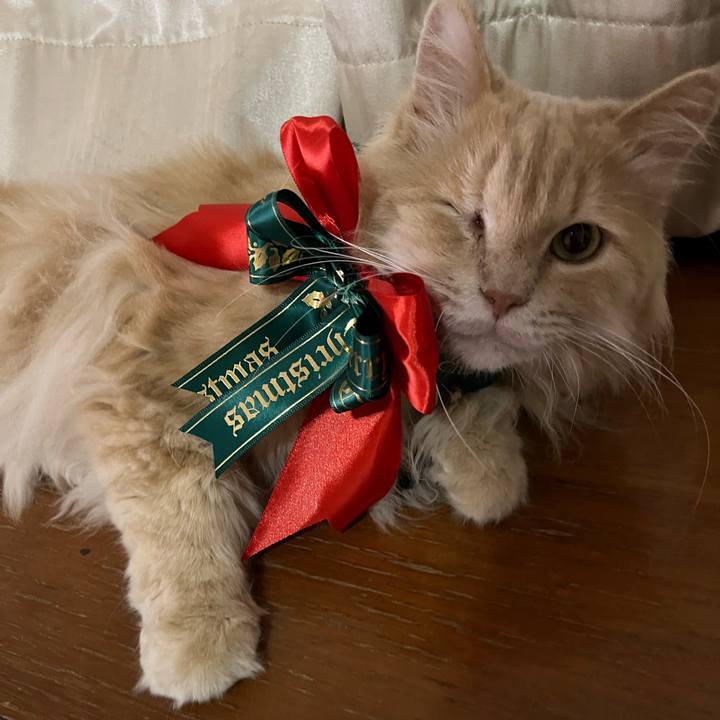 4b795fe4 7d8a 4094 92a3 e98ac6ec9e74 1765971745589