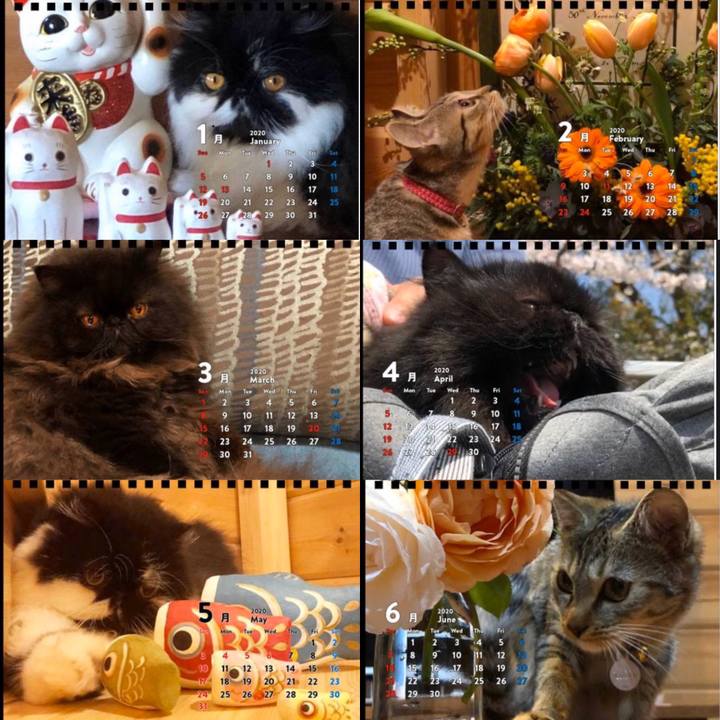 4b79e6ba 52b7 4c43 a712 d7aa9a9e2951 1571732508958