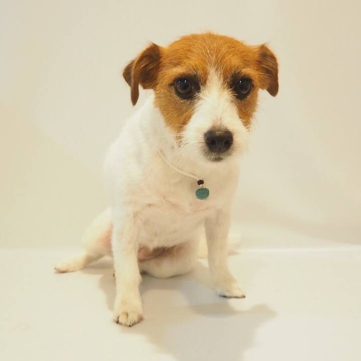 4b7a20be c0fe 4a6d 9dd5 f78081a94d94 1562945785173