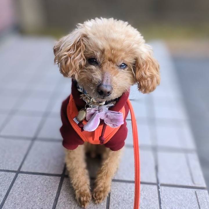 4b7a3851 c51d 45f0 9e62 f576ff9af3c2 1771630208664