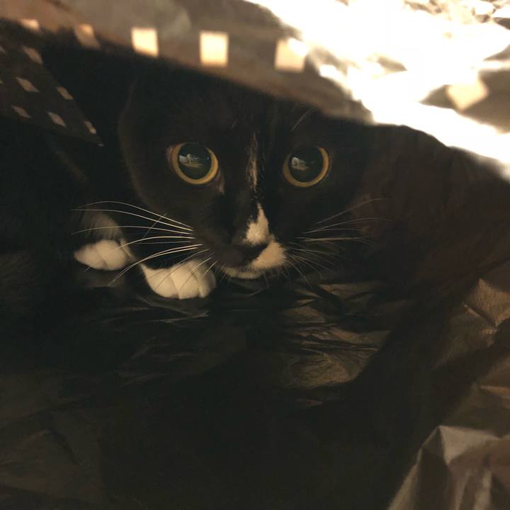 4b7a5c00 6ac0 49f0 b355 6ffdae61beed 1514506105929