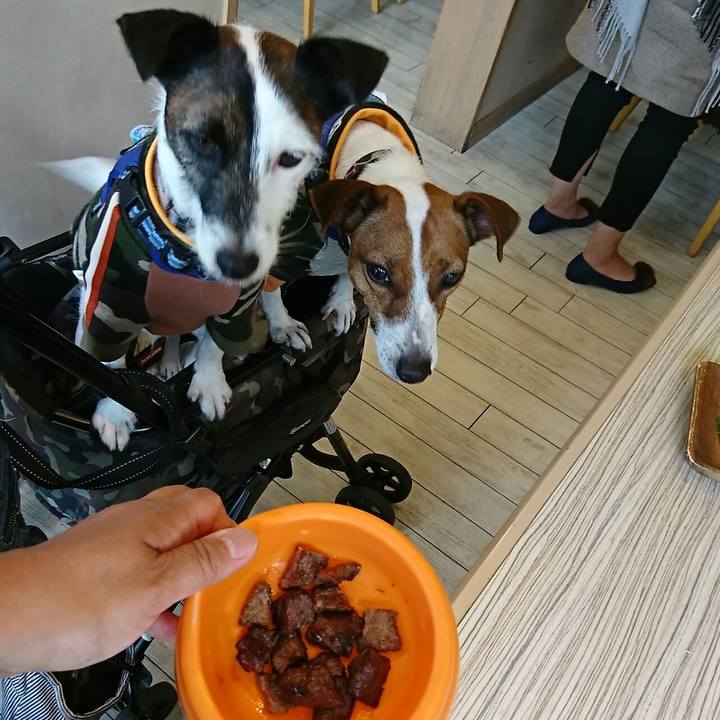 4b7a608c 2b27 4451 a4e6 3073311ff099 1541565755685