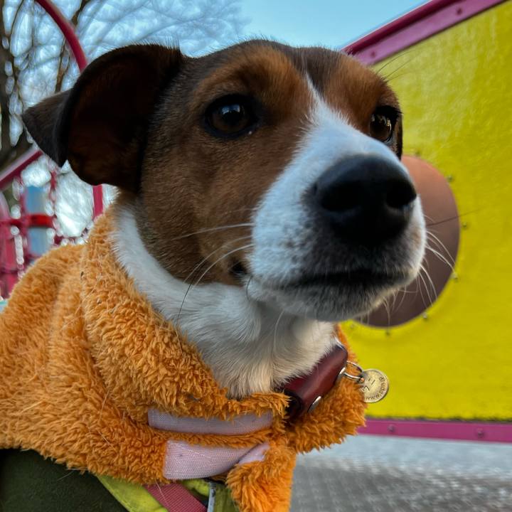 4b7a93ea b39e 4a89 9cfc a7b116062444 1735643188871