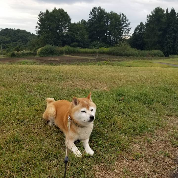 4b7adfec 69f0 47d1 a9af bed5d0f5d2ac 1696058031967