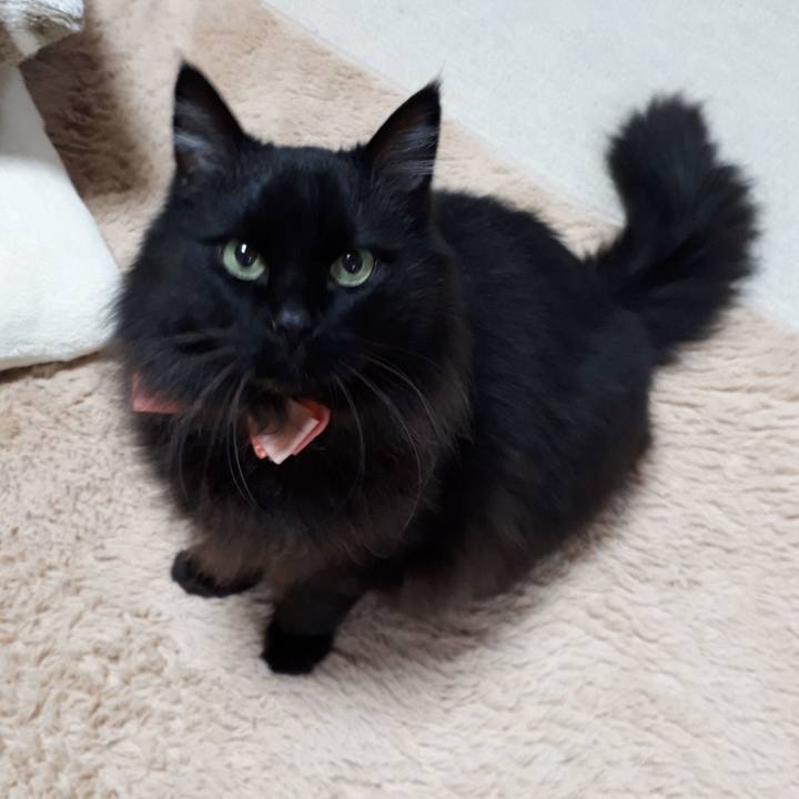 4b7aed20 be8a 4d1f 9ad1 536e3751d458 1521145140312