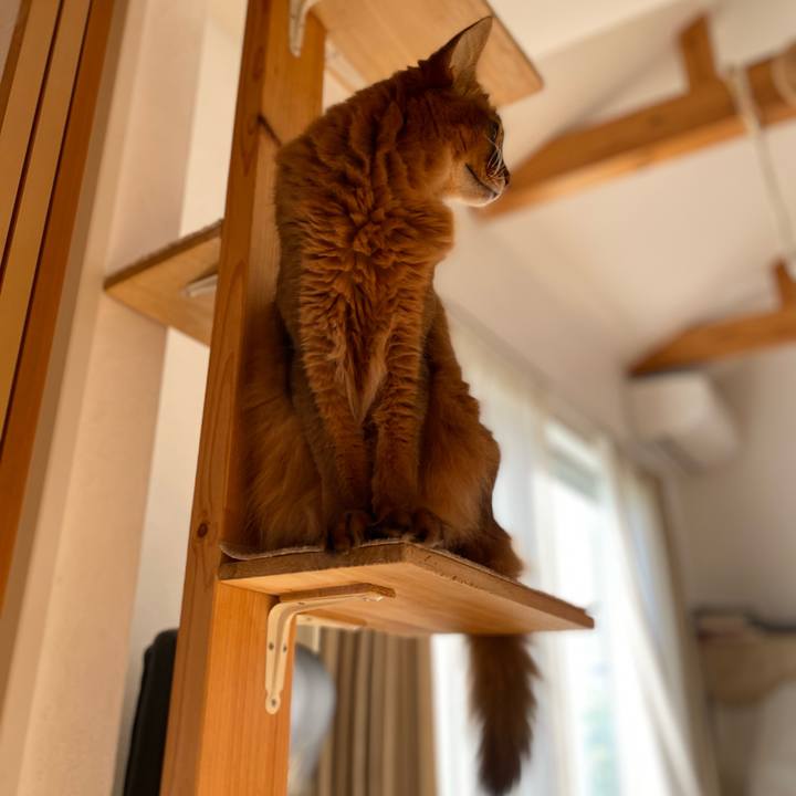 4b7af8ab df1a 49a1 8064 925eac982560 1666738244751