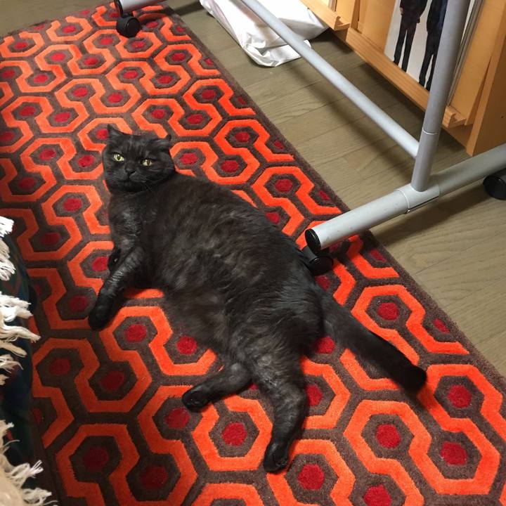 4b7b05cf 4dc0 4532 baae b0656922f23a 1552558354300