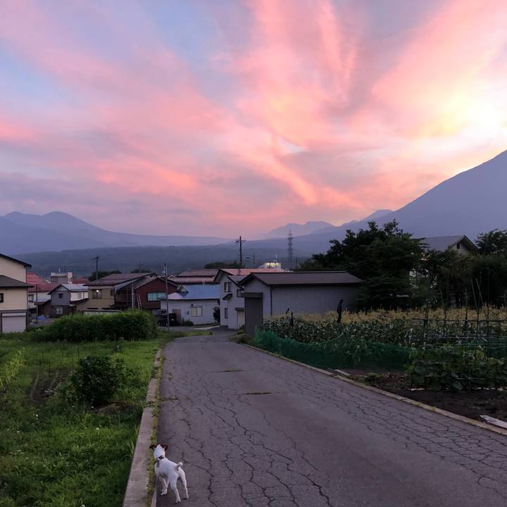 4b7b156b 9464 458d 93c7 9209e79305e3 1531742240832