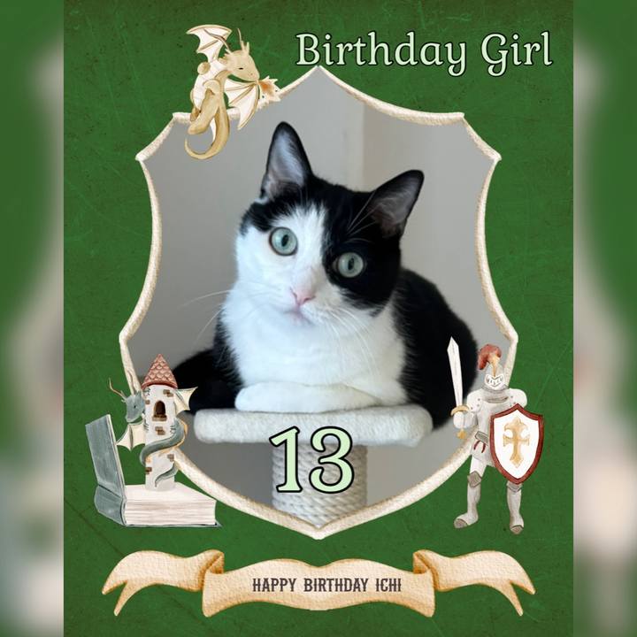 4b7b340c 60c0 4e2c 9246 ec4c727ddce1 1719582262286