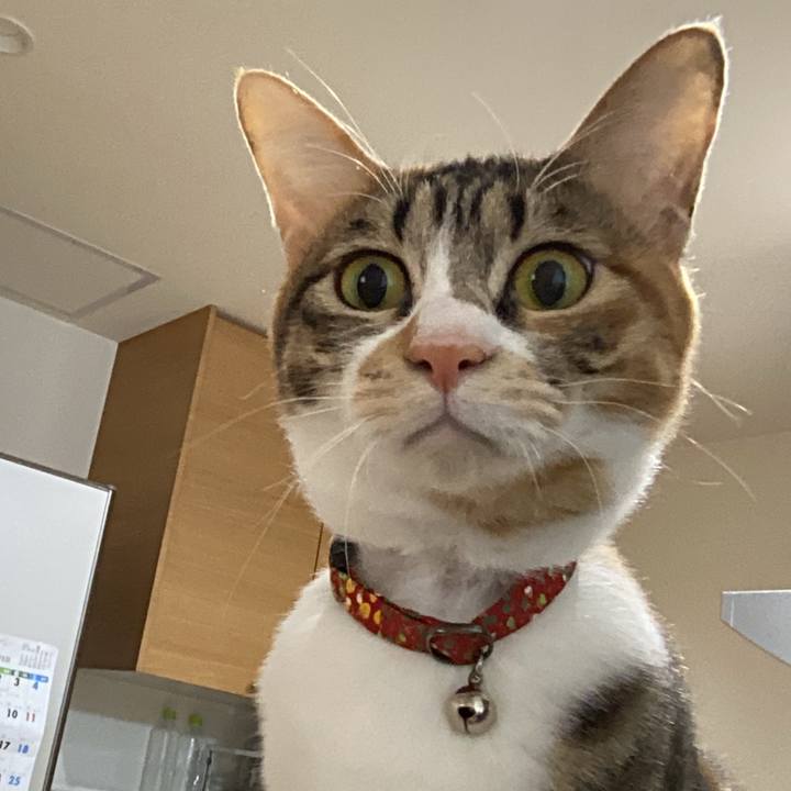 4b7b352c 248a 4bb5 ab31 22b4b4fea07b 1675902432610