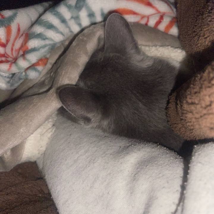 4b7b3aaa b9ed 4017 b313 9cf93c05d080 1733084725151