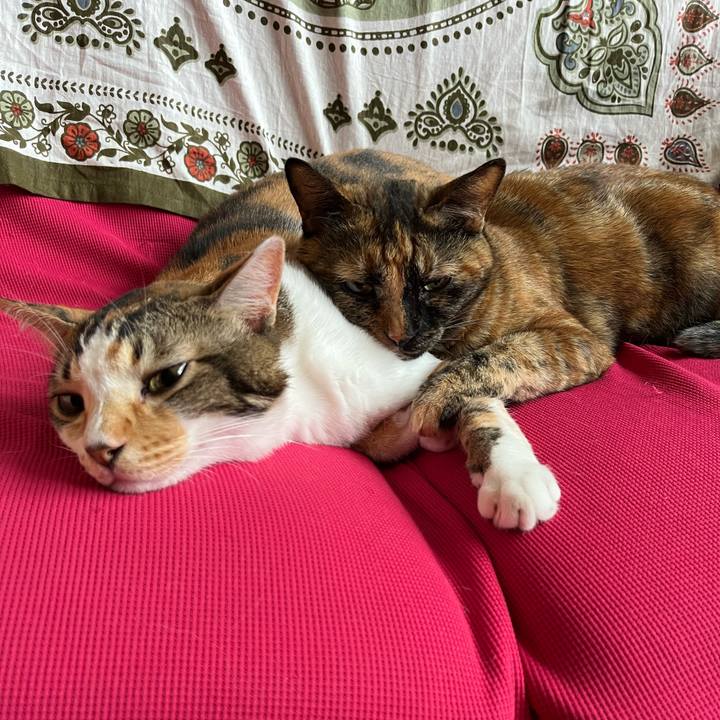 4b7b4186 aaad 4f83 9a8e b54abc45aaea 1753581830273