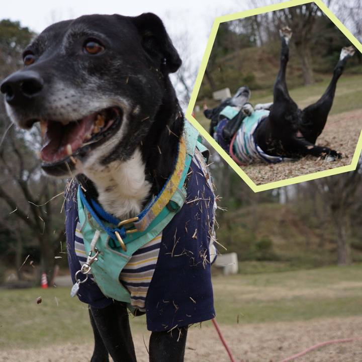 4b7b47a0 e1da 4620 b205 74456eeb0104 1773361498513