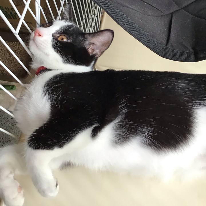 4b7b5076 8d83 4edf a5c6 4976965b1ce8 1628397523108