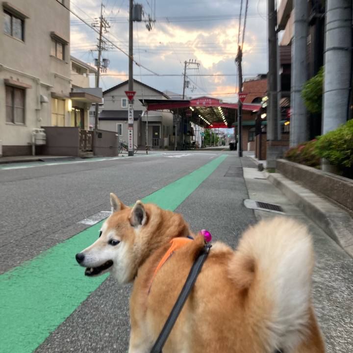 4b7b65e7 2346 4447 9a61 57fac33af243 1654335219081