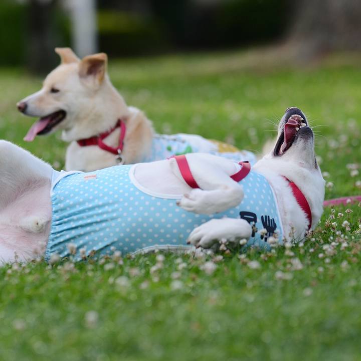 4b7b8dc4 02fd 4e47 8bd4 47586b898fe6 1530203788689