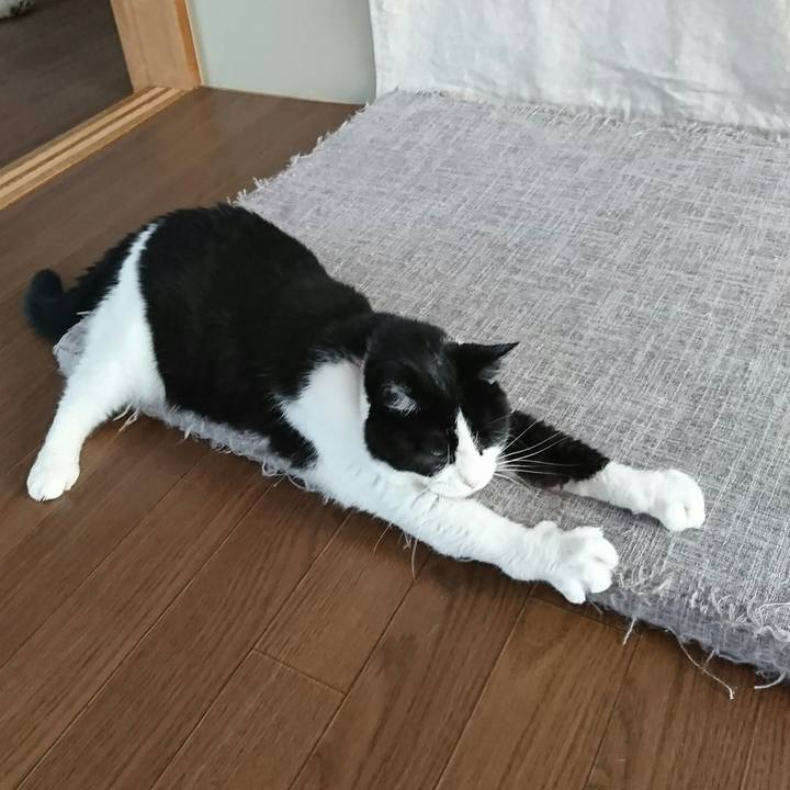 4b7b9e42 9edf 4575 9f81 96d490e21b2b 1565169603538